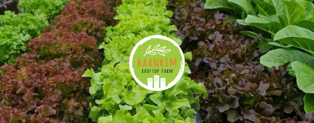 Baanrim Rooftop Farm