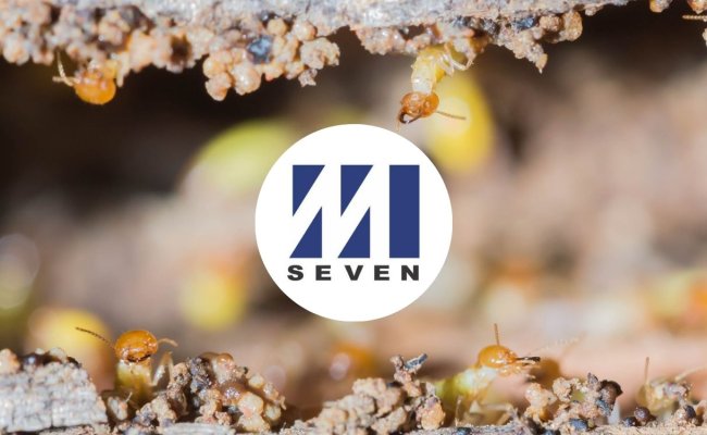 COVER_ M-Seven