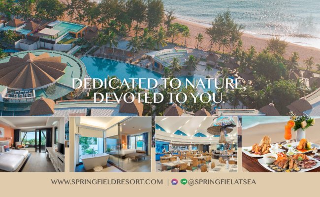 SFA__Banner_Advertorial-06