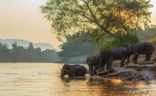 Felix River Kwai Resort