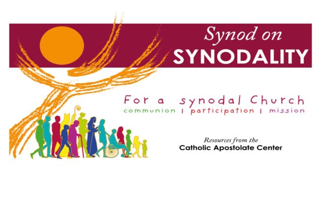 what is synodality